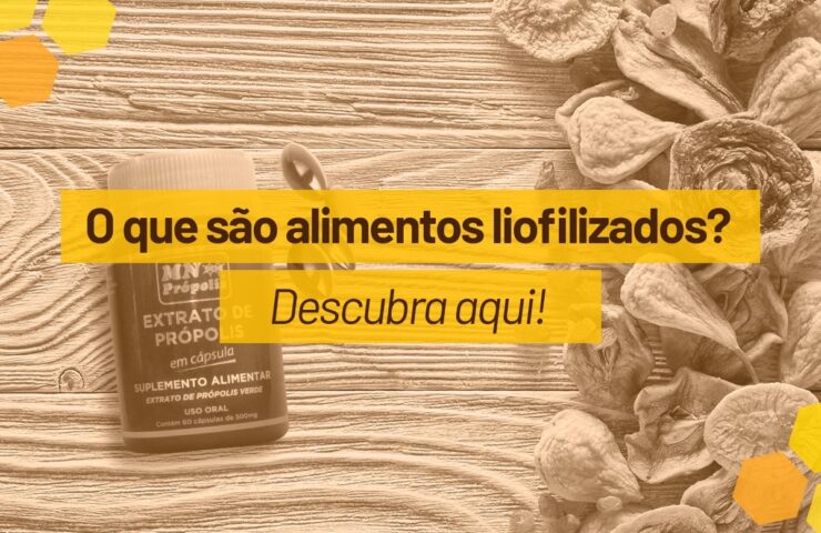 alimentos liofilizados - o que são alimentos liofilizados