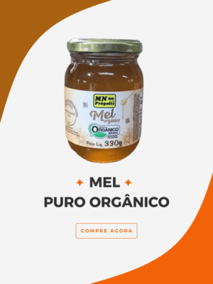 Mel Puro Orgânico 330g – Energia e Sabor